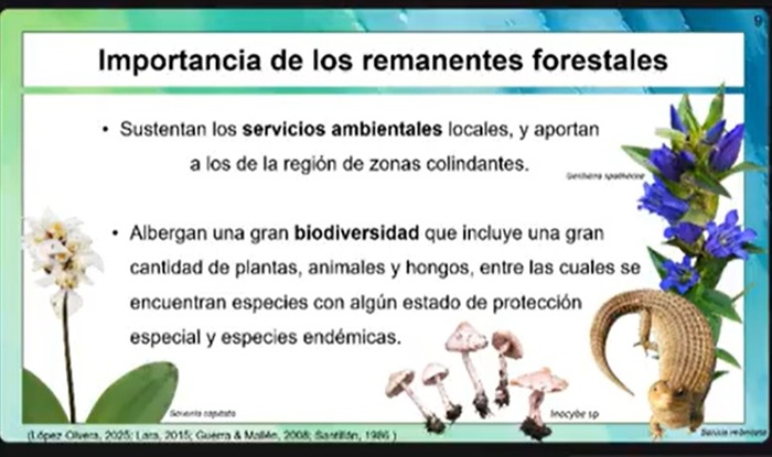 CICB-UATx fortalece investigación para la conservación de ecosistemas forestales en Ixtacuixtla y Españita - AlternativaTlx