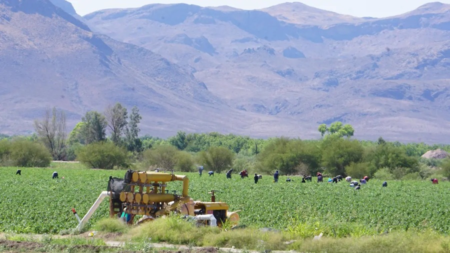 crece-mas-de-10-anual-comercio-agricola-entre-mexico-y-chequia-alternativatlx