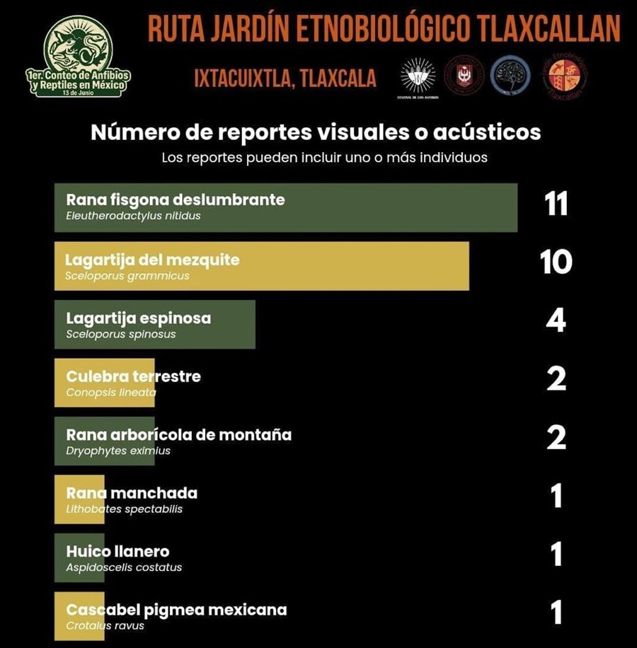 investigadores-del-ctbc-uatx-suman-evidencia-cientifica-sobre-anfibios-y-reptiles-de-tlaxcala-en-conteo-latinoamericano-alternativatlx