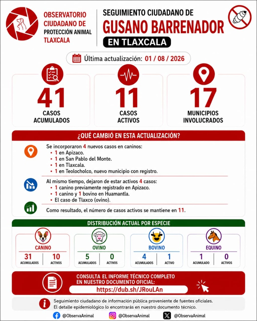 Julio Concentró más de la Mitad de los Casos Acumulados de Gusano Barrenador en Tlaxcala