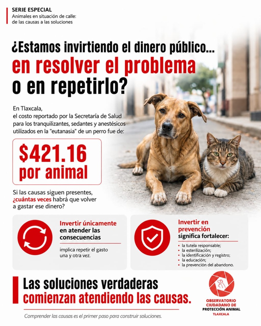 ocpa-presenta-analisis-sobre-el-costo-reportado-para-la-eutanasia-de-perros-y-plantea-el-debate-sobre-la-prevencion-alternativatlx