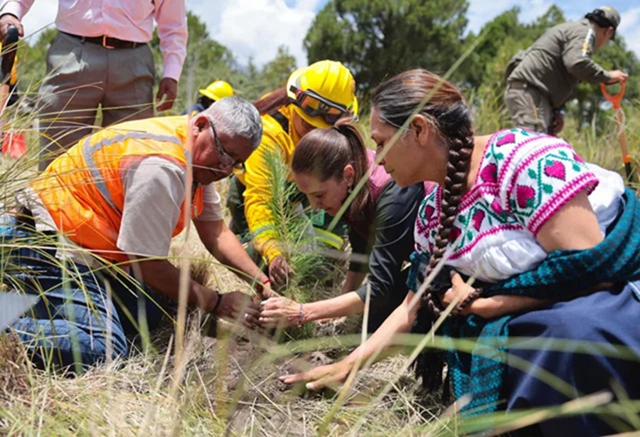 Presidenta Claudia Sheinbaum Encabeza Inicio de la Jornada Nacional de Reforestación 2026 y Propone Renombrar el Paso de Cortés como “Paso de los Pueblos Indígenas”