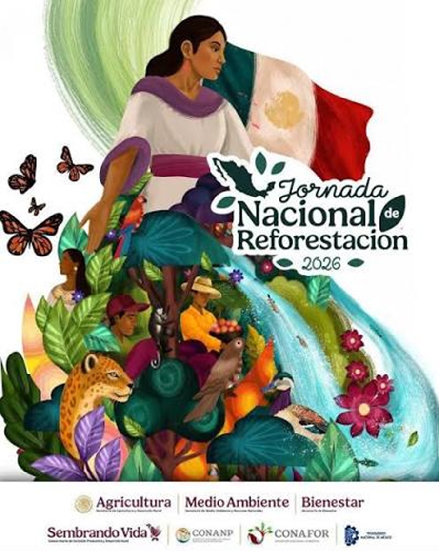 Presidenta Claudia Sheinbaum Presenta la Jornada Nacional de Reforestación 2026; se Plantarán 6.6 Millones de Árboles y Plantas