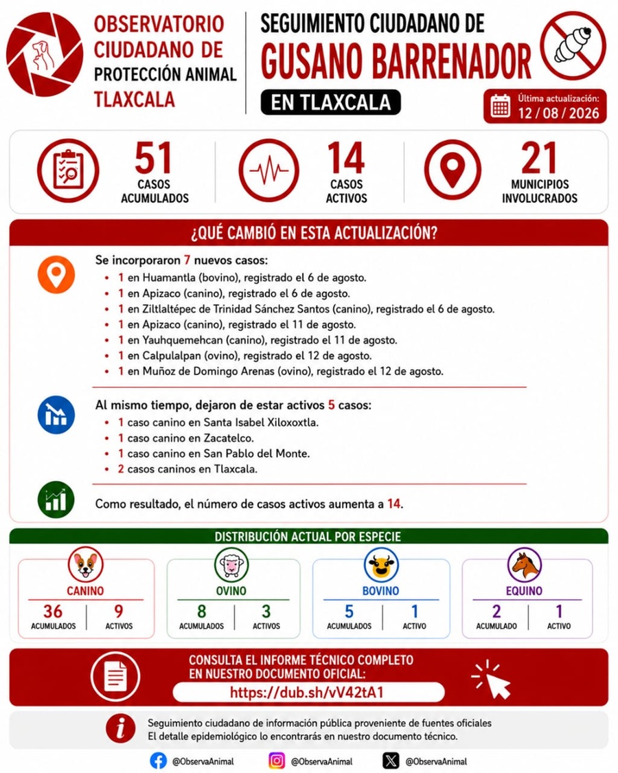 tlaxcala-alcanza-51-casos-de-gusano-barrenador-en-21-municipios-los-casos-activos-aumentan-a-14-alternativatlx
