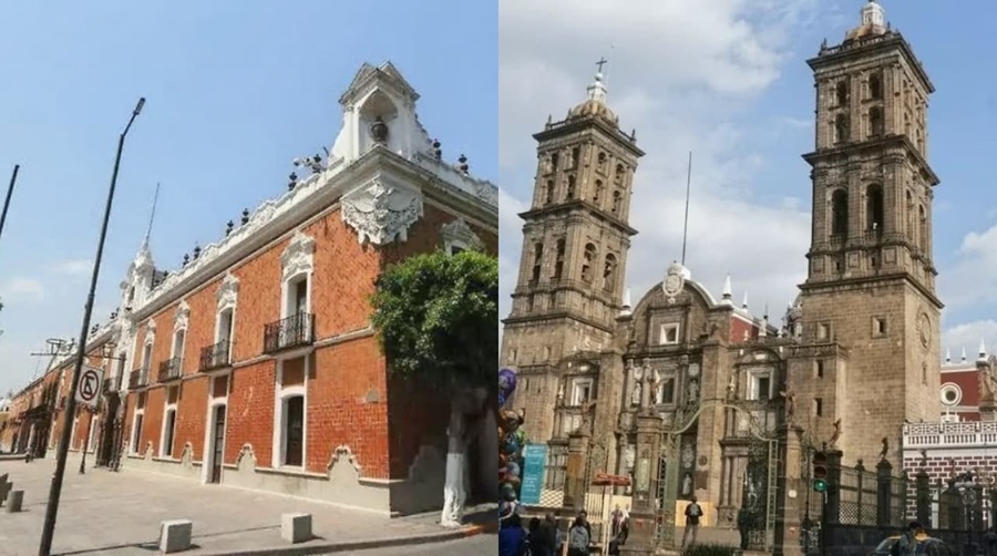 Tlaxcala Reconoce la Creación del Tercer Observatorio Ciudadano Especializado en Protección Animal en México