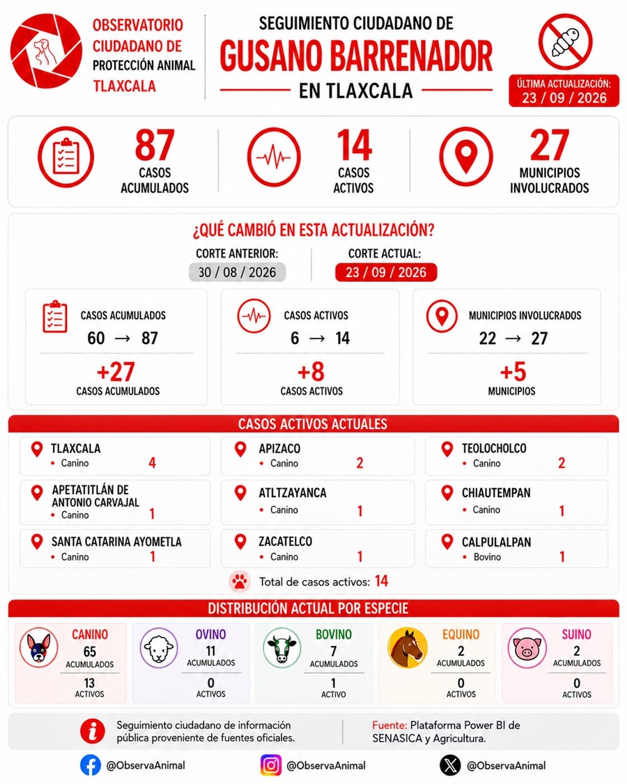 Tlaxcala Registra 87 Casos Acumulados de Gusano Barrenador