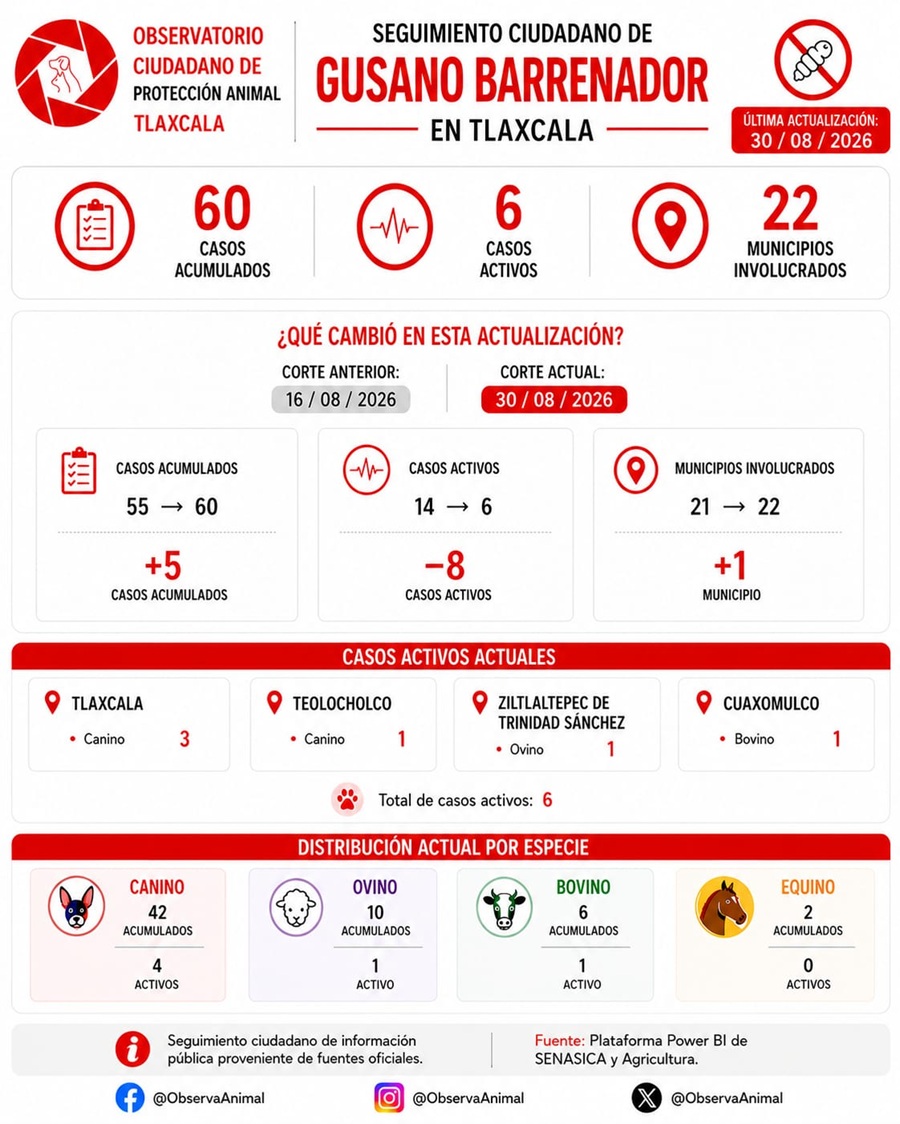 Tlaxcala Suma 60 Casos de Gusano Barrenador; Activos Disminuyen de 14 a 6